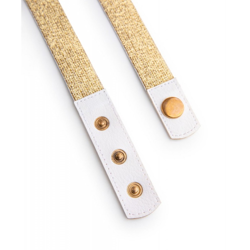 ΖΩΝΗ ΜΕ ΑΛΥΣΙΔΑ